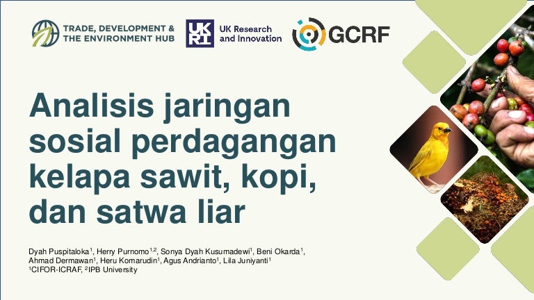 thumbnail of  Analisis jaringan sosial perdagangan kelapa sawit, kopi, dan satwa liar