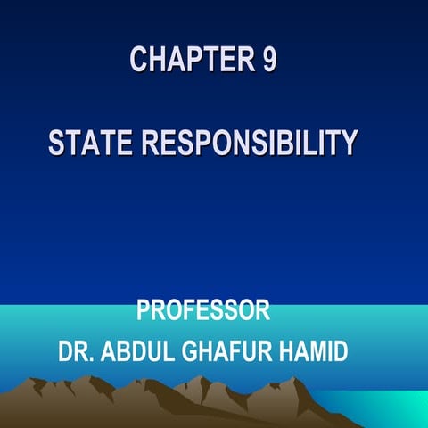 state responsibility