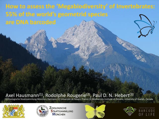 Axel Hausmann - Invertebrates Plenary