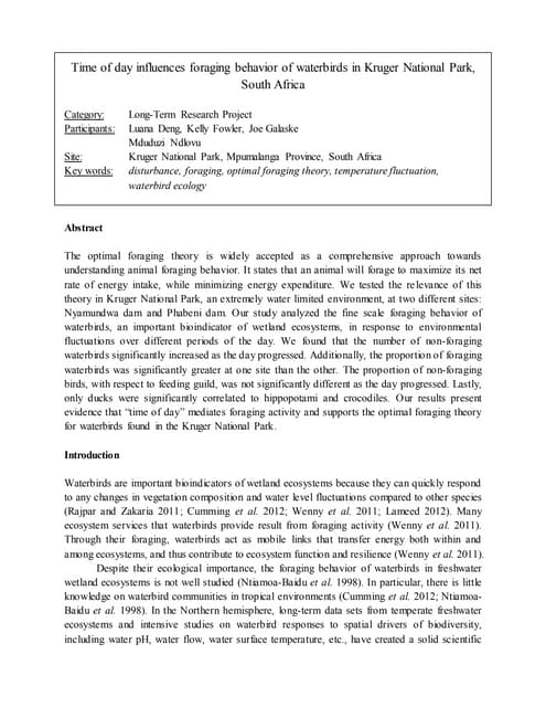 Time of day influences foraging behavior of waterbirds in the Kruger National...