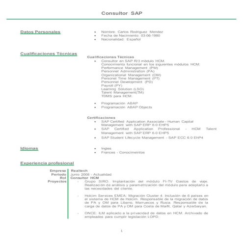 CV Javier Roche | PDF