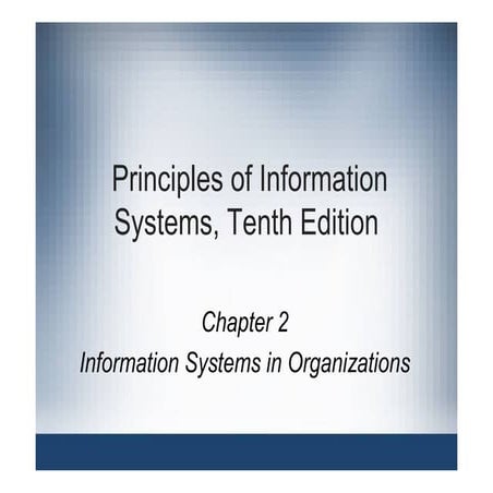 Information Systems chapter 2 - Organizations