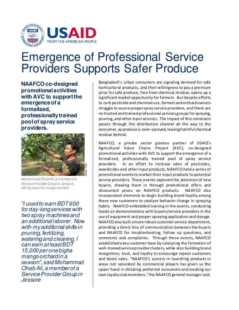 Emergence of Professional Service Providers