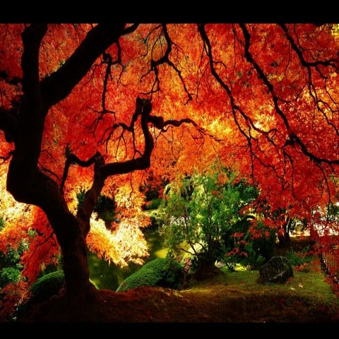 Belas fotos de diversos países 