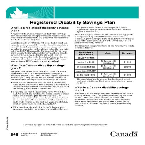 RDSP | PDF