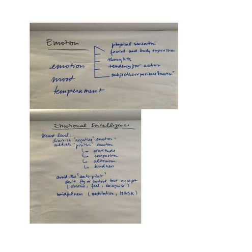 Screen shots and Flip Charts during Learning Tree 906 in English