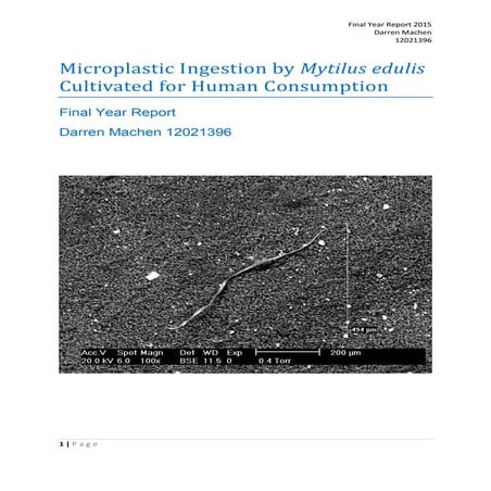 Microplastic Pollution - Presentation | PPTX
