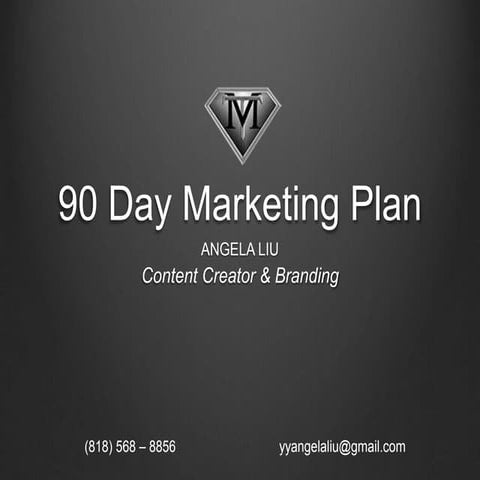 MickTec 90 Day Marketing Plan