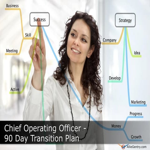 Chief Operating Officer 90 Transition Plan