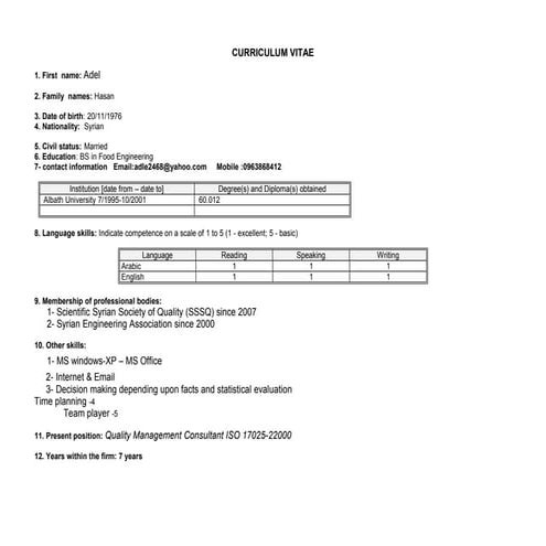 Syria CV Template IBF