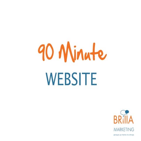 Small Business 90 Minute Website