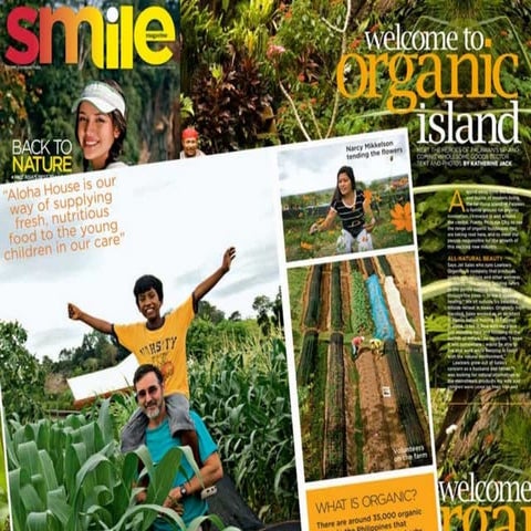 Sustainable Livestock 1: Cattle and Hogs