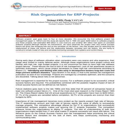 Risk Organization for ERP Projects