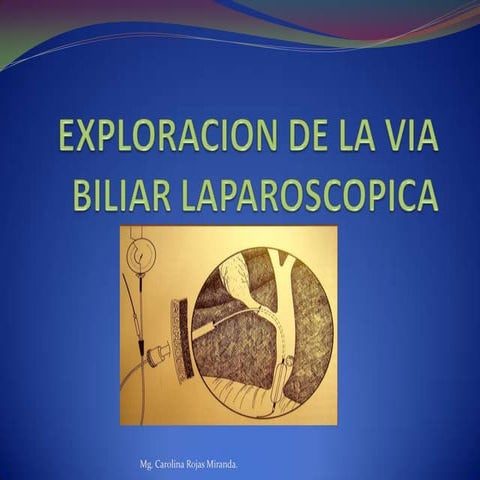 Instrumentación quirurgica en exploración de vías biliares laparoscopica - CI...