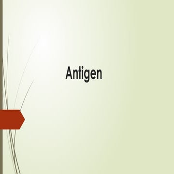 918_ANTIGEN...pptx presentation complete