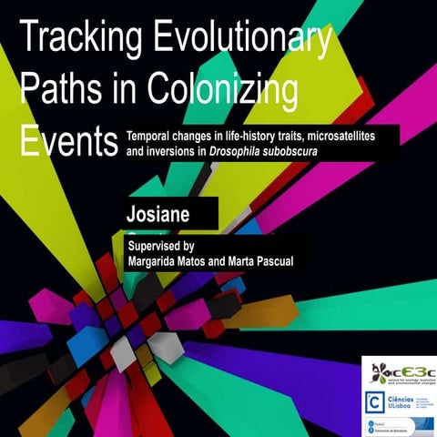 Tracking evolutionary paths