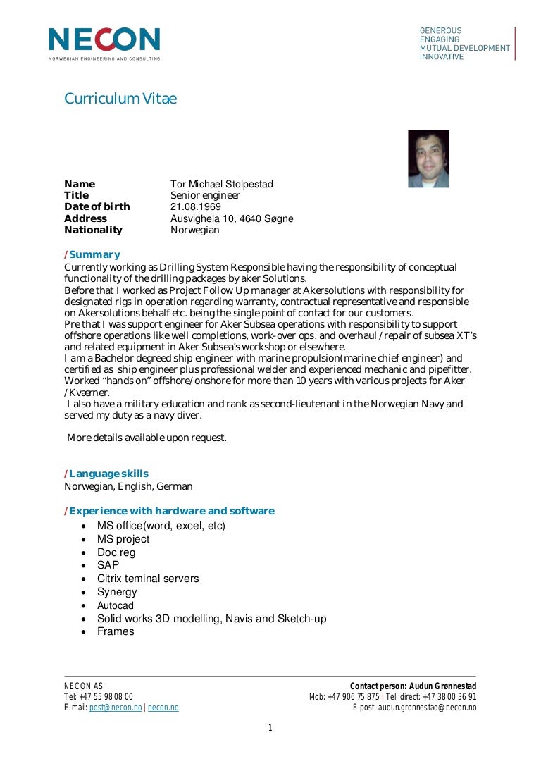 Curriculum vitae in english sample picture
