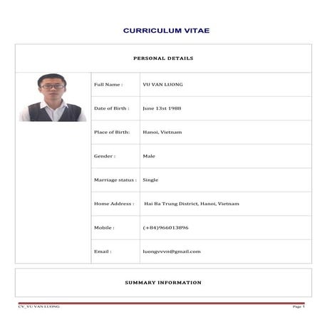 Curriculum Vitae_ Luong Vu Van