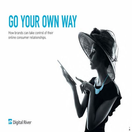 DigitalRiverBrandsReport