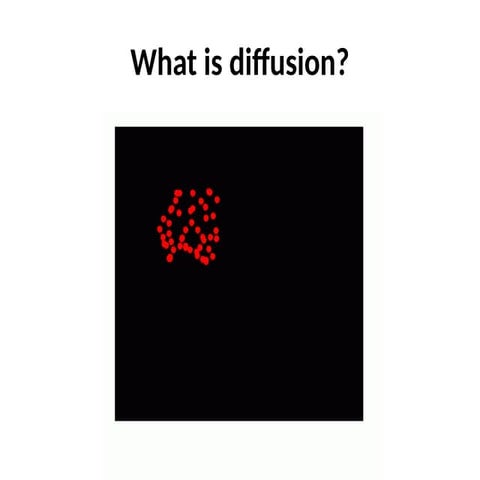 Diffusion - Year 8 Science Dr Lakshmi Sharma | PPTX