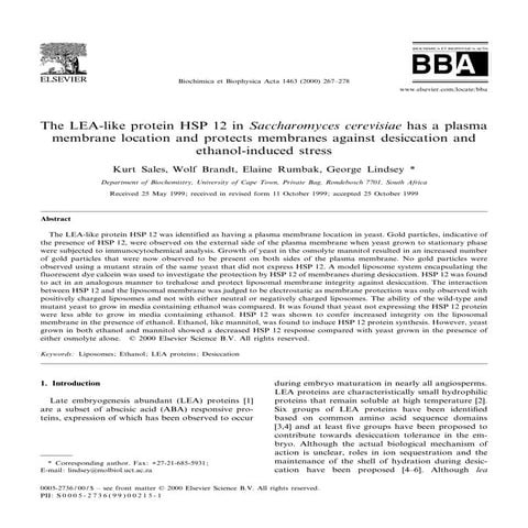 HSP12 | PDF