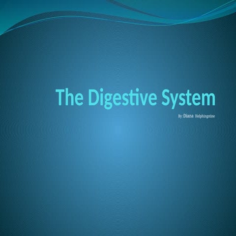 Digestive system how it works - digestion