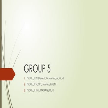 Comprehensive Project Management in Social Work: Integration, Scope ...