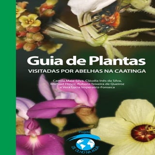 93670474 guia-plantas