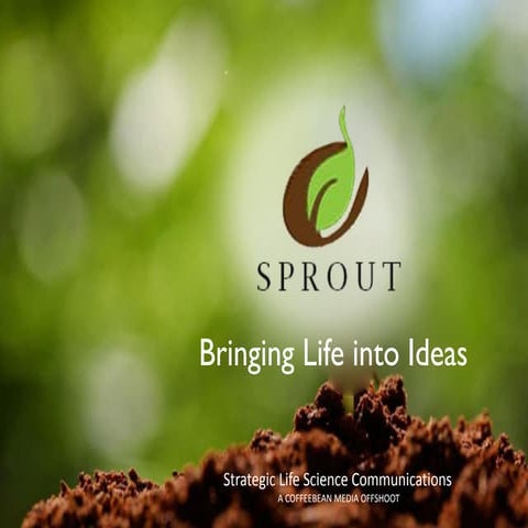 Sprout Presentation | PDF