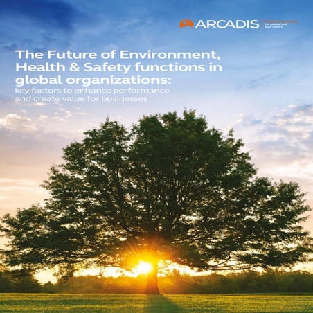 The future of Environment, Health and Safety functions in global ...