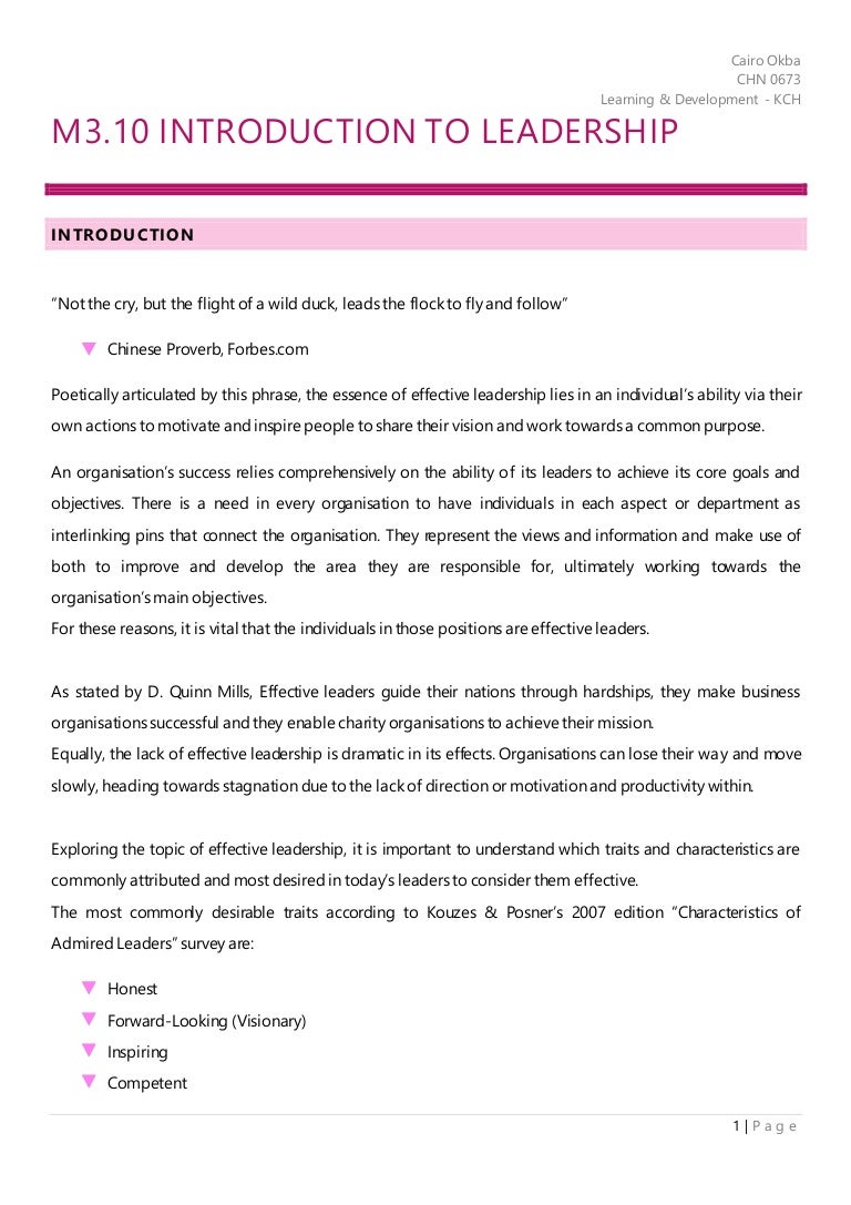 Developing skills for business leadership assignment example picture