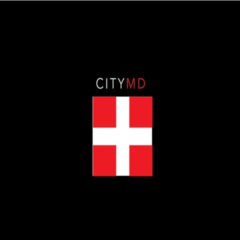 City MD: IPG Media Brands The Perfect Pitch | PDF