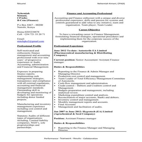 Curriculum Vitae (Financial Business Analyst) - Nehemiah Kimani