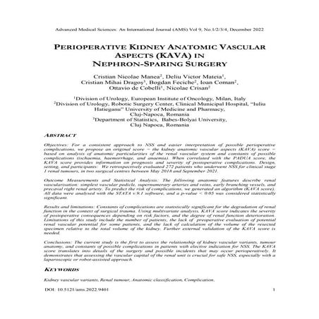 PERIOPERATIVE KIDNEY ANATOMIC VASCULAR ASPECTS (KAVA) IN NEPHRON-SPARING SURGERY