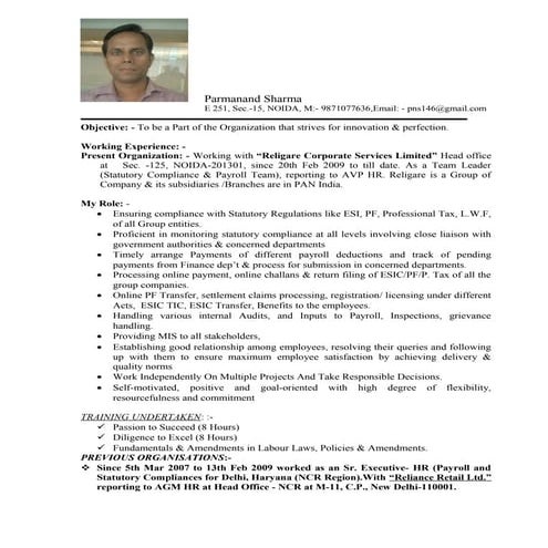 Ali Raza CV | PDF