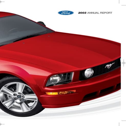 ford 2003 Annual Report