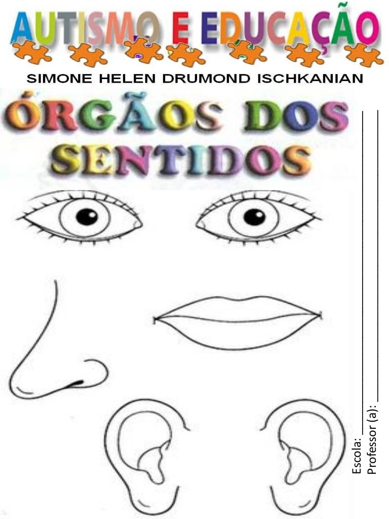 Sobre Os órgãos Do Sentido é Correto Afirmar Que