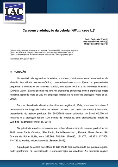 Calagem e Adubação da Cebola