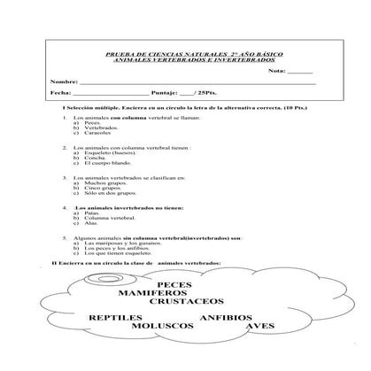 Prueba-Ciencia-Vertebrados-e-Invertebrados-2-Basico.doc