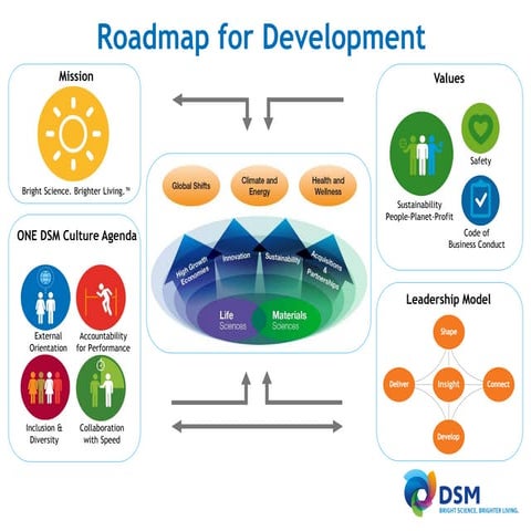DSM Roadmap for developement | PDF