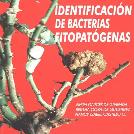 Identificación de bacterias fitopatogenas