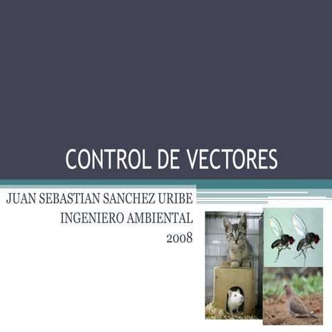 95957156-Control-de-Vectores.pdf
