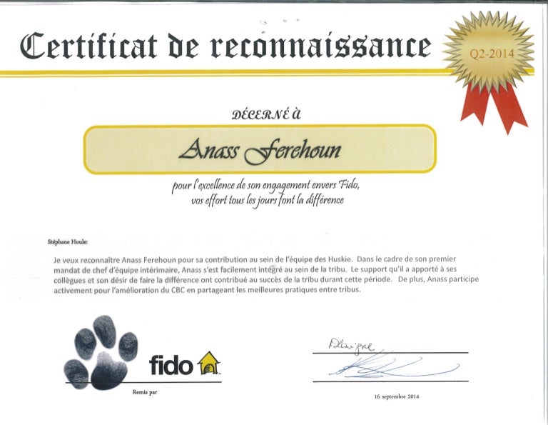 Certificat En Enquête Et Renseignement à Distance