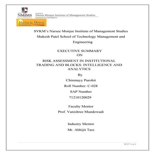 Chinmayy_Purohit_C028_Executive_Summary