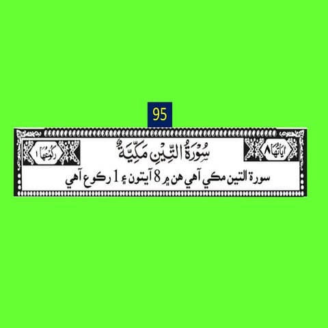 95 surah teen (Sindhi)