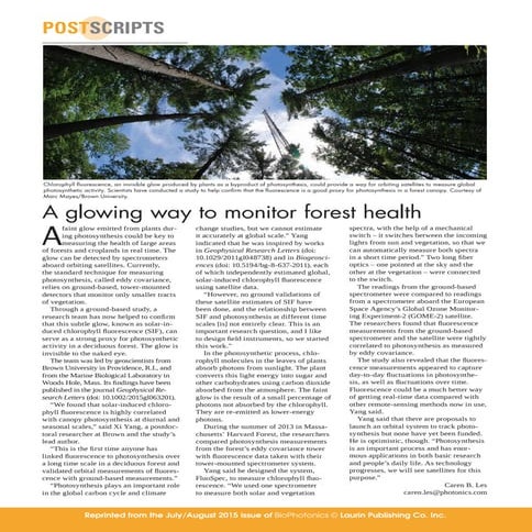 715BI_PostscriptsReprint