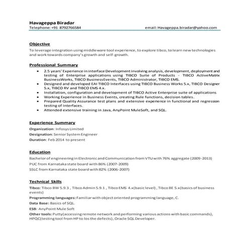 Roy_Einstein_Mascarenhas CV -IBM | DOC