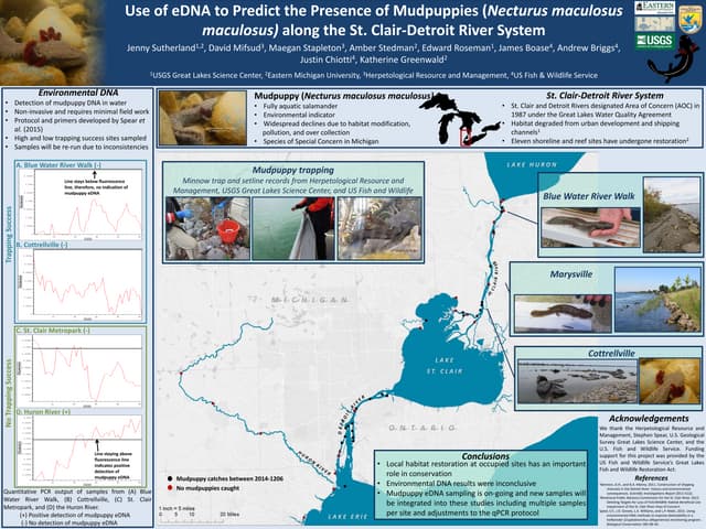 PosterSutherland_Midwest