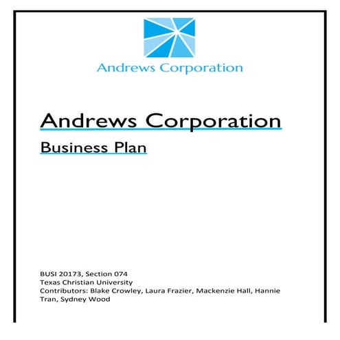 FINAL BUSINESS PLAN (1) | PDF