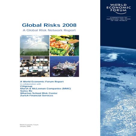 Global Risk Report 2008